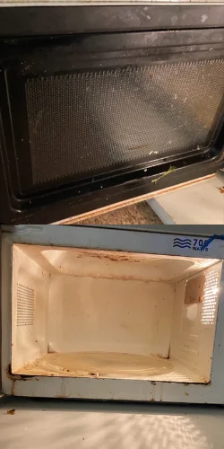 Microwave, before the clean