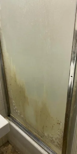Shower door, before the clean